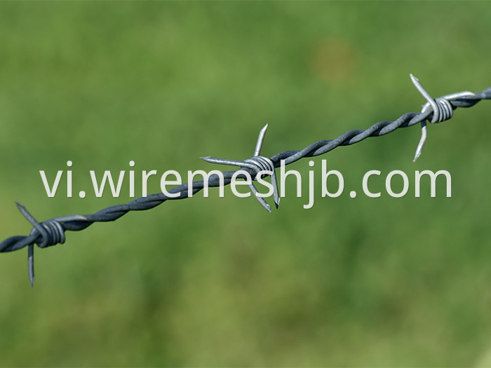 Barbed Wire Line